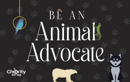 Animal Advocate